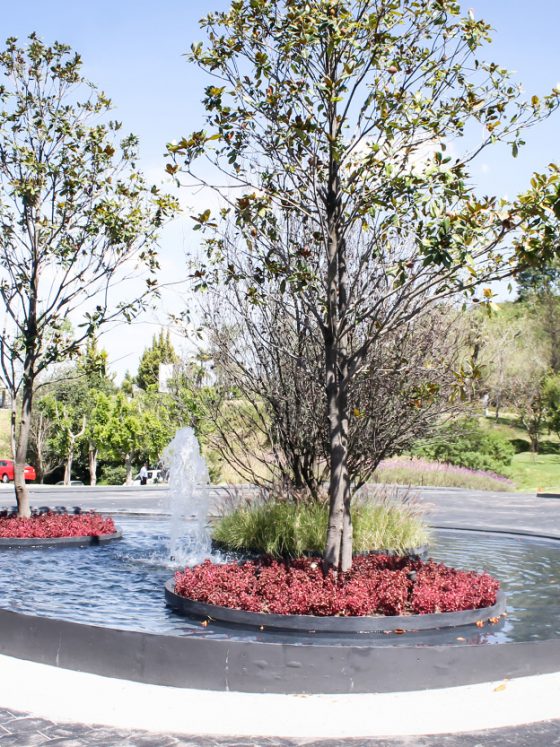 Espacios exclusivos para bodas