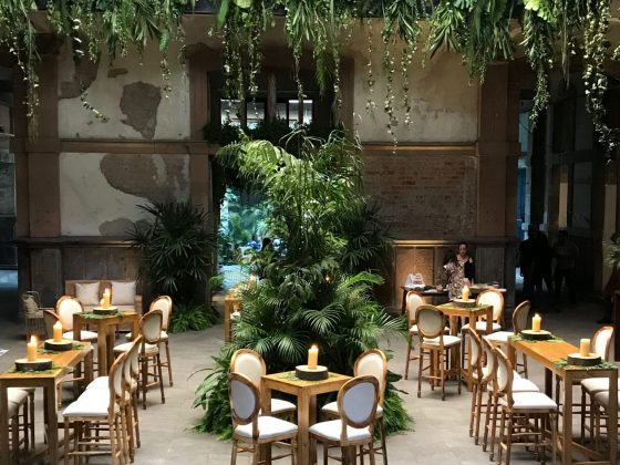 Proyecto Público Prim