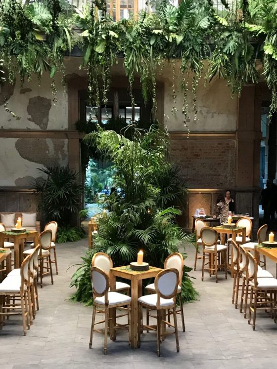 Proyecto Público Prim