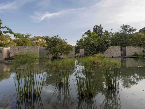 Jardín Agua Viva