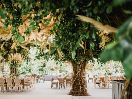 bodas