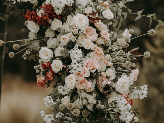 Jardín San Hipólito