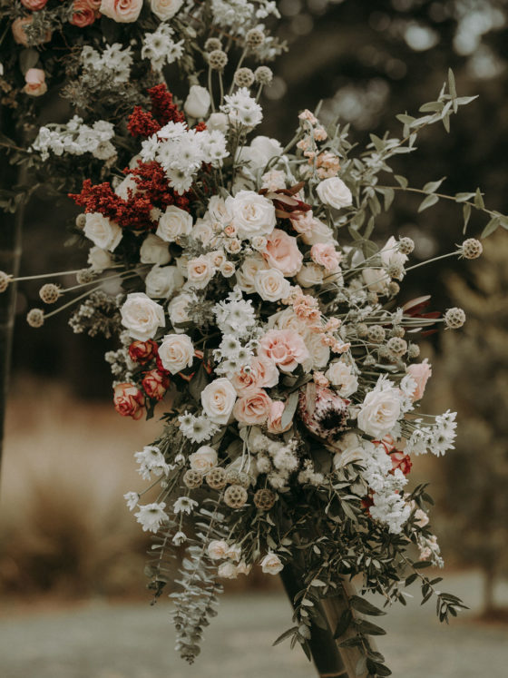 Jardín San Hipólito