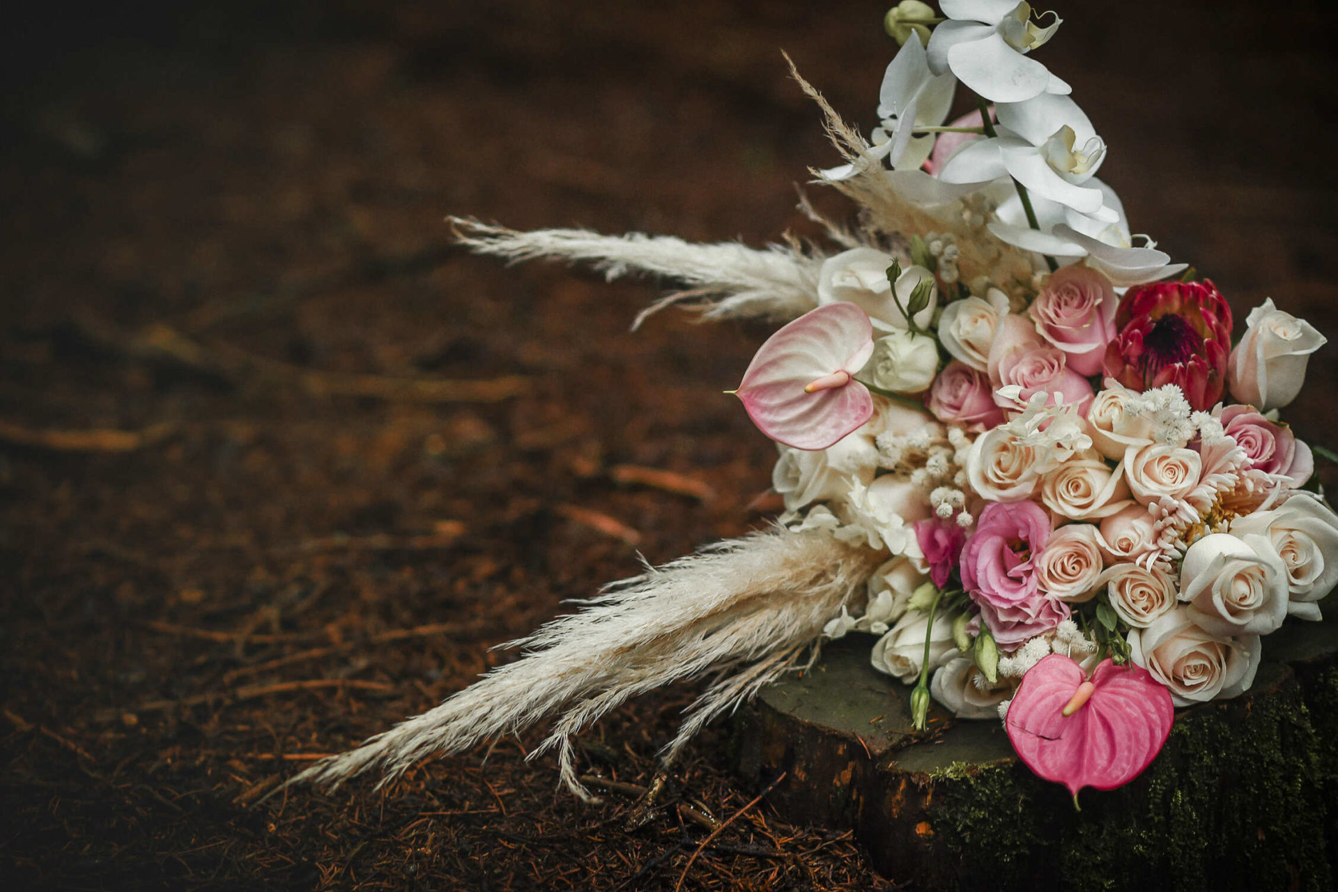 Karen Sánchez Designer