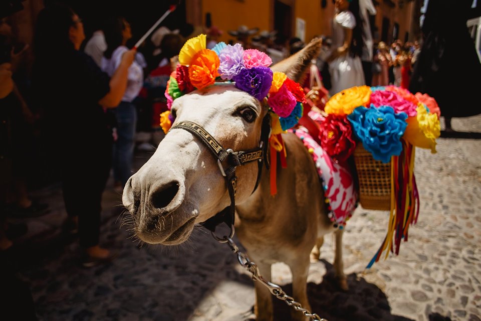 Penzi San Miguel de Allende