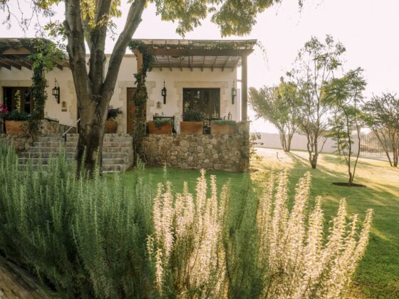 boda en san miguel de allende