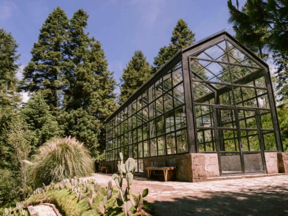 wedding venues mexico city