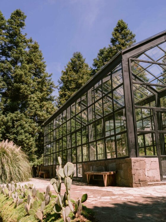 wedding venues mexico city