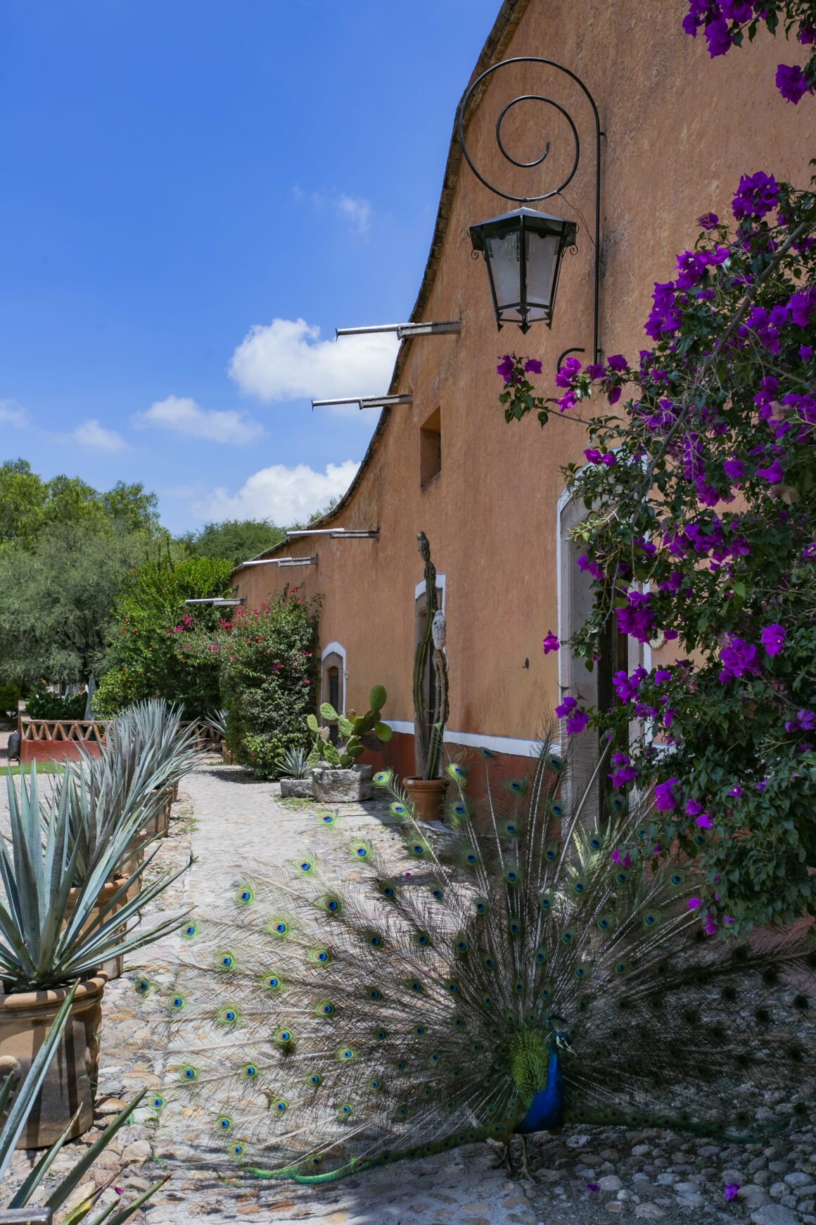 Hacienda Sepúlveda