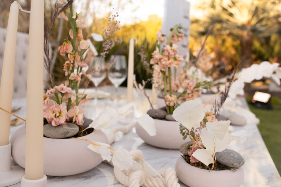 relanzamiento de Revêie